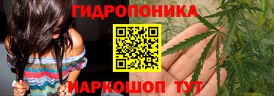 МДПВ Тара