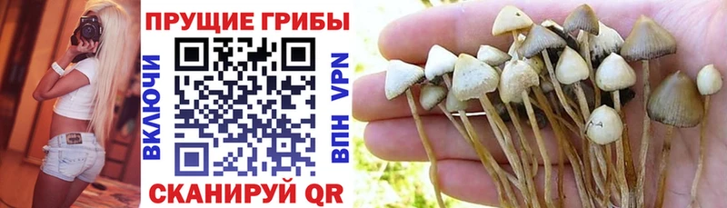 Галлюциногенные грибы мухоморы наркота omg зеркало Люберцы