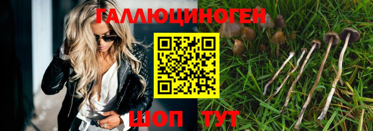 Галлюциногенные грибы Cubensis Люберцы