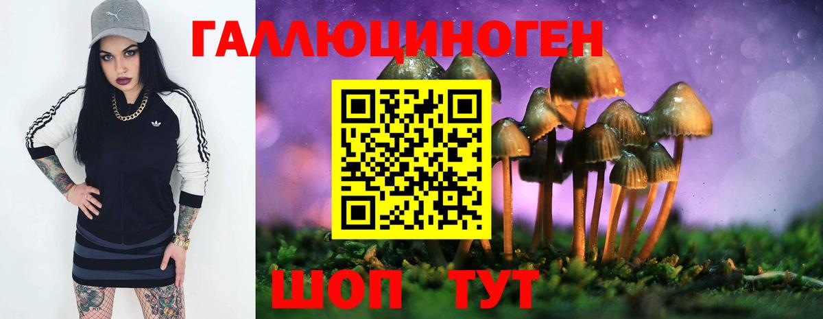 Галлюциногенные грибы Magic Shrooms  Вход с VPN  Люберцы  Галлюциногенные грибы Cubensis 